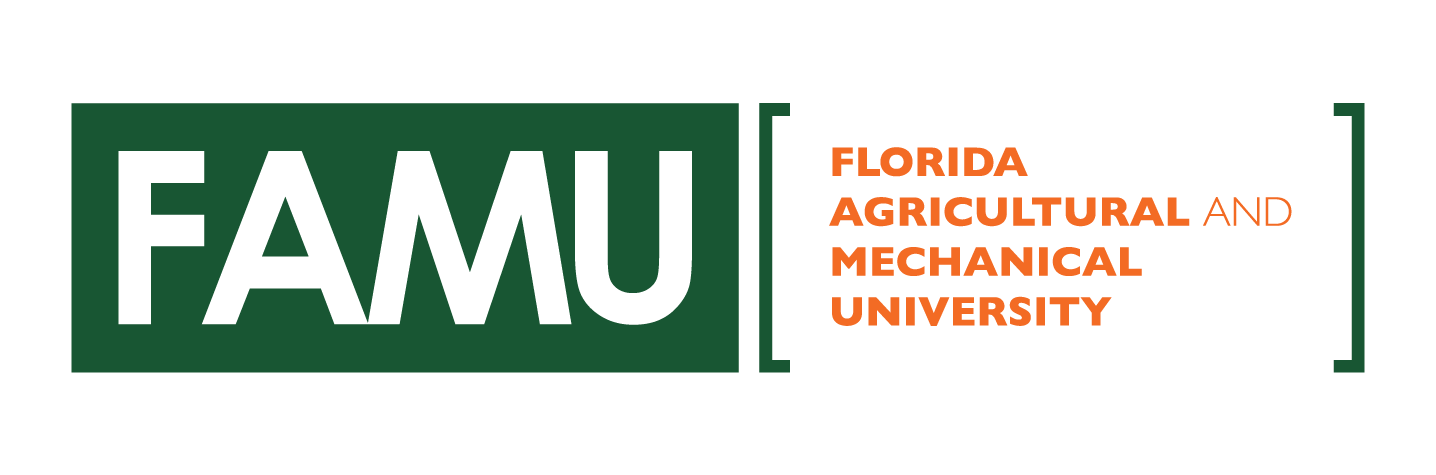 FAMU: Turning Dreamers into Achievers - STRATEGY